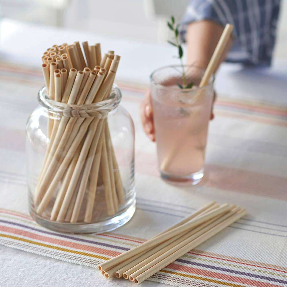 Bambu Disposable Bamboo Straws Bulk Case