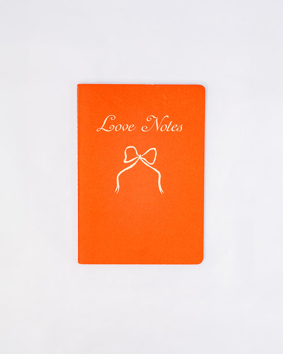 Ban Do Hold That Thought Notebook Set - Love Notes