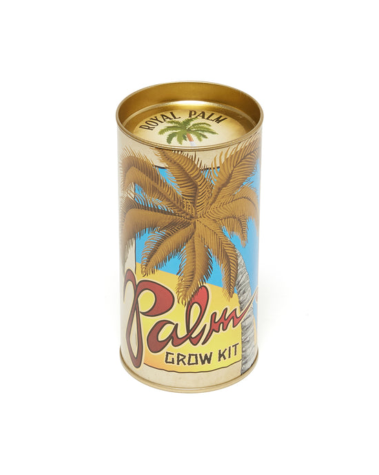 Ban Do Palm Tree - Seed Grow Kit - Royal Palm