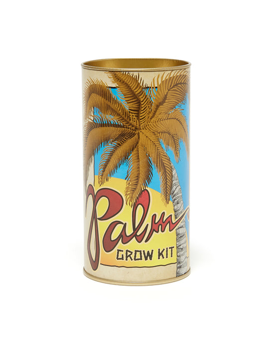 ban do Palm Tree - Seed Grow Kit - Royal Palm