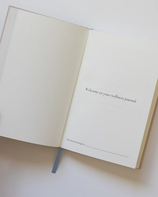 Ban Do Pink Bow Wellness Journal