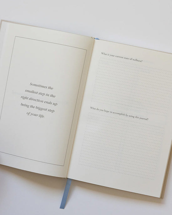 Ban Do Pink Bow Wellness Journal