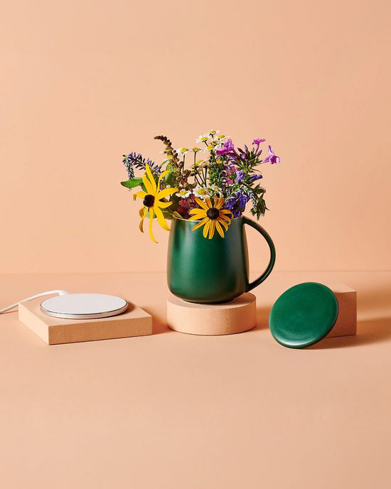 Ban Do Smart Heated Mug Kit 2.0 - Deep Mint