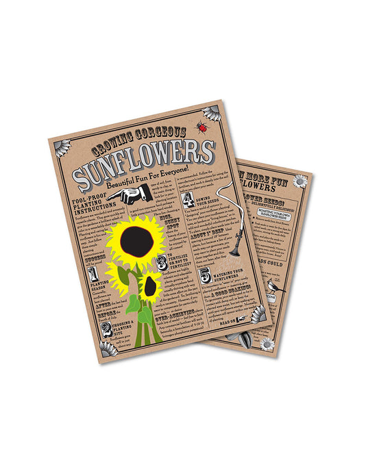 Ban Do Sunflower - Seed Grow Kit