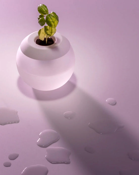 Ban Do The Hydropod Plant Grower