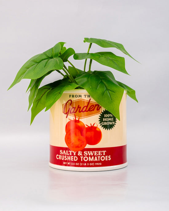 ban do Tomato Can Ceramic Planter