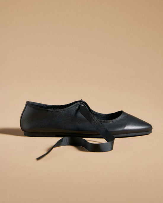 Ban Do Valley Ballet Flats - Black