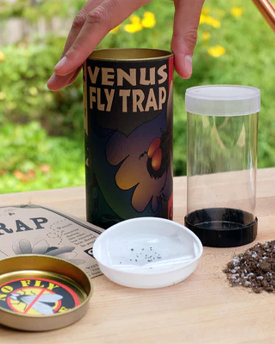 Ban Do Venus Flytrap Seed Grow Kit