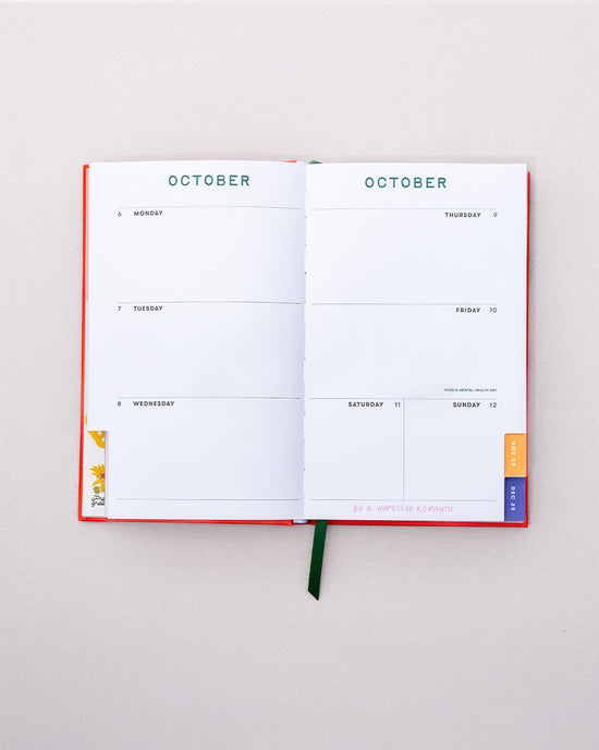 Ban Do Classic 17-Month Academic Planner - Pink Plaid