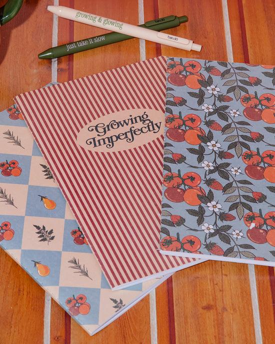 Ban Do Hold That Thought Notebook Set - Growing Imperfectly