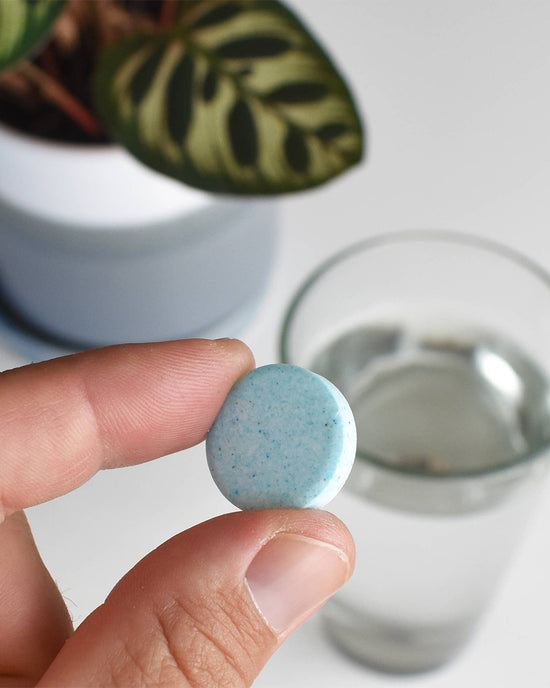 Ban Do Instant Plant Food - Houseplant & Indoor Plant Fertilizer