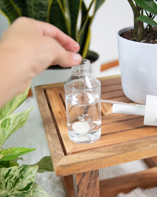 Ban Do Instant Plant Protection - Natural Houseplant Pest Control Tablets