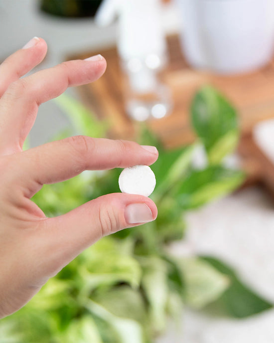 Ban Do Instant Plant Protection - Natural Houseplant Pest Control Tablets