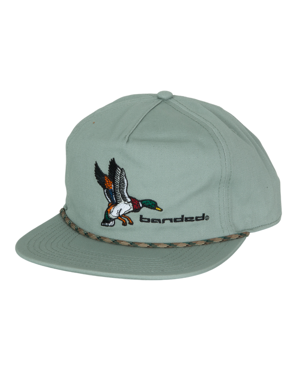 Banded Banded Mallard Hat