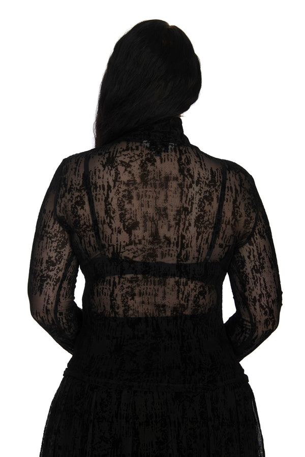 Banned Alternative Banned Alternative LATTICE TOP