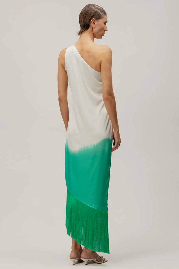 Baobab Amelia Maxi Dress