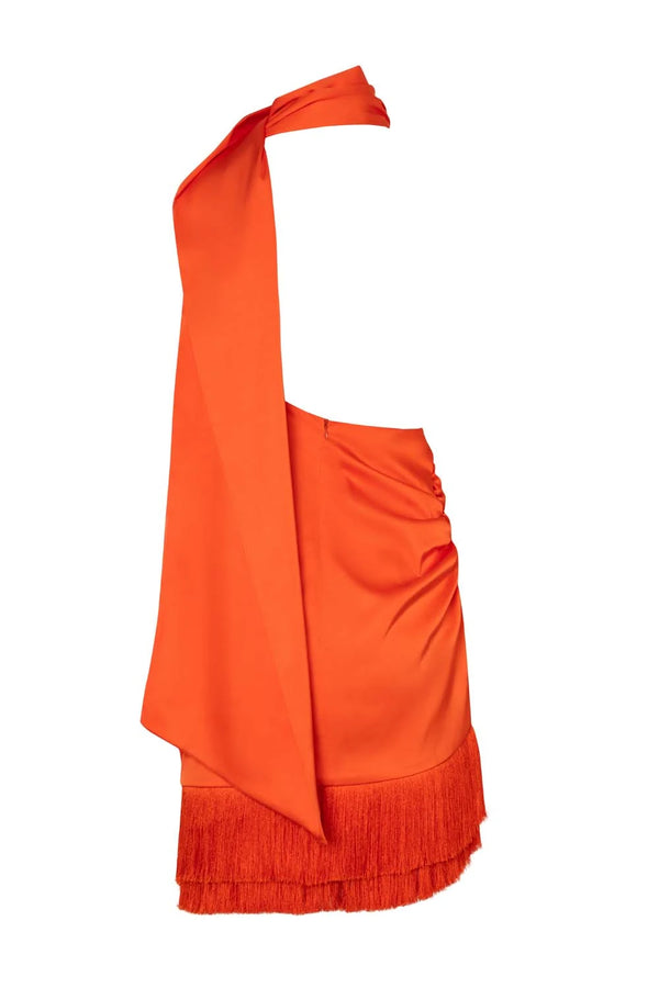 Baobab Ari Mini Dress