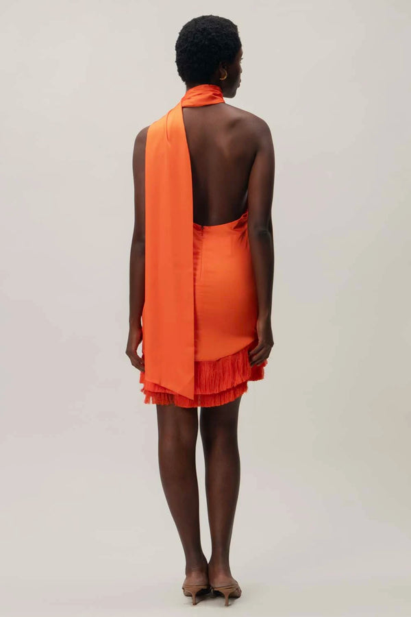 Baobab Ari Mini Dress