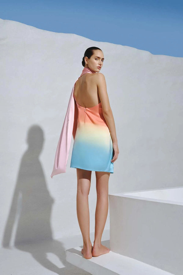 Baobab Ari Mini Dress