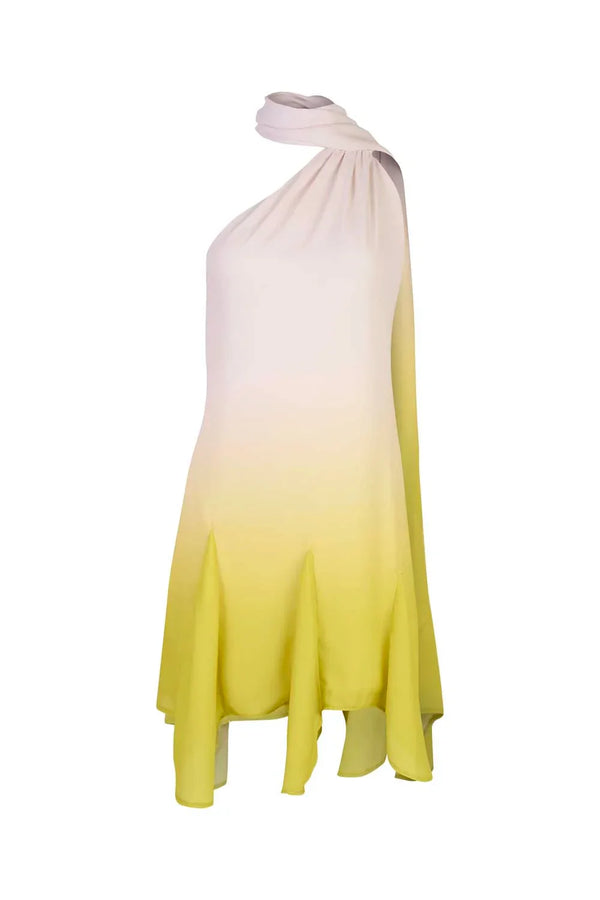 Baobab Ari Mini Dress