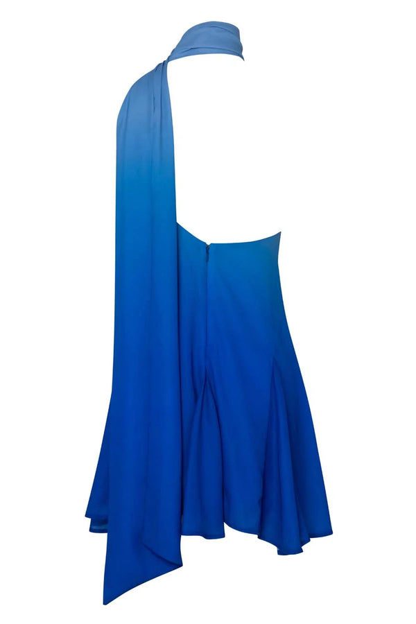 Baobab Ari Mini Dress