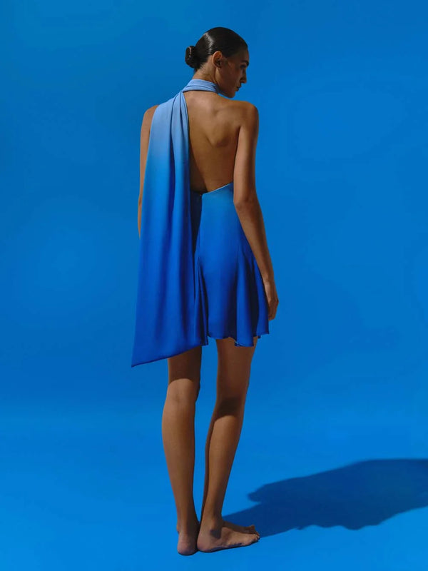 Baobab Ari Mini Dress