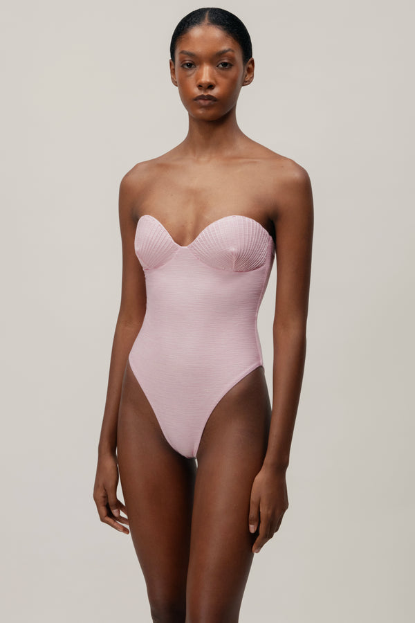 baobab Conchita One Piece