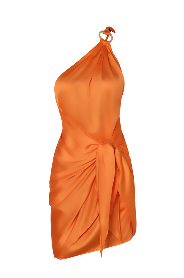 Baobab Marea Mini Dress