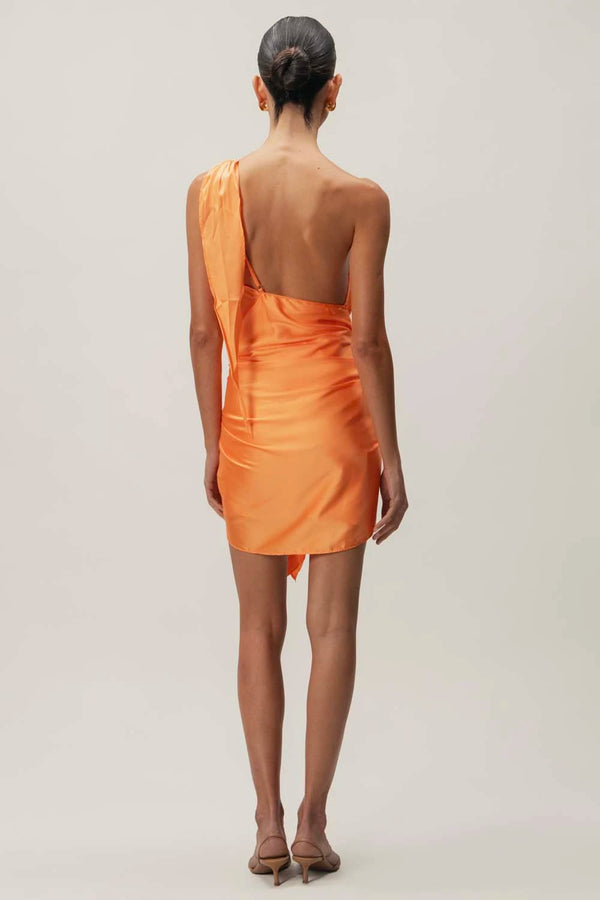 Baobab Marea Mini Dress