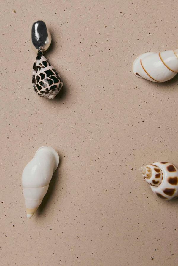 Baobab Nassa Earrings