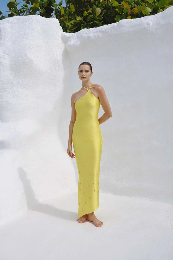 Baobab Palomino Maxi Dress