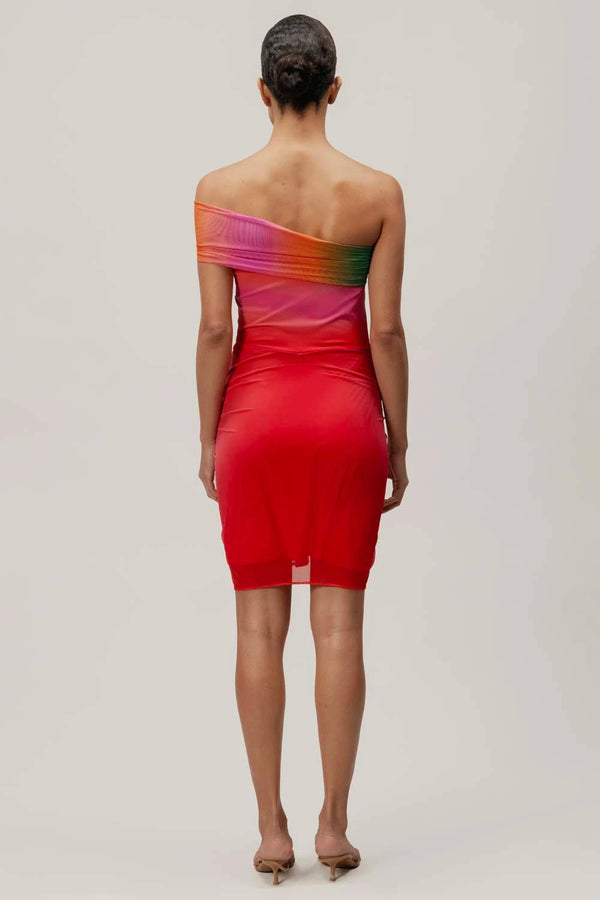 Baobab Tessa Mini Dress