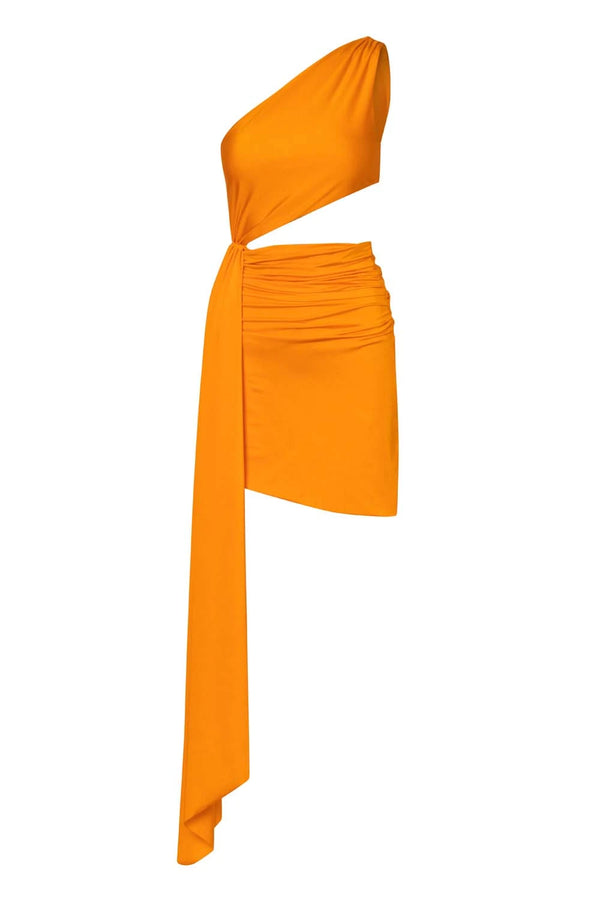 Baobab Zadeh Mini Dress