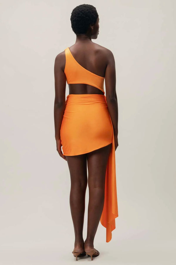 Baobab Zadeh Mini Dress