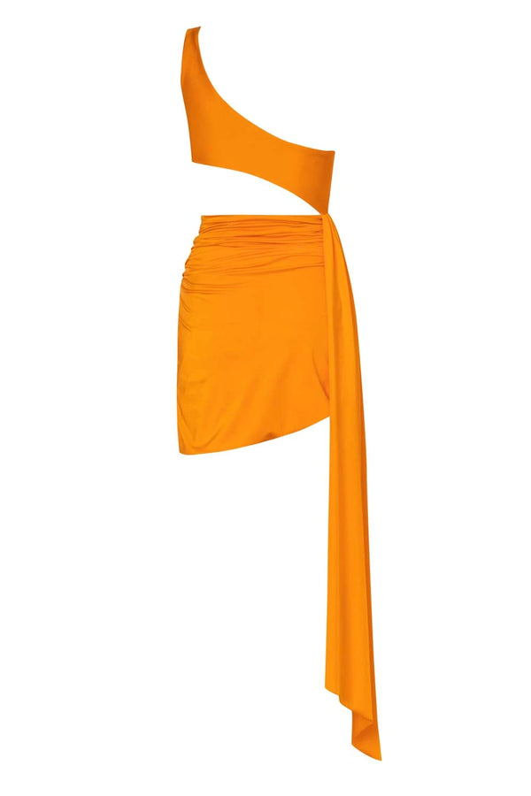 Baobab Zadeh Mini Dress