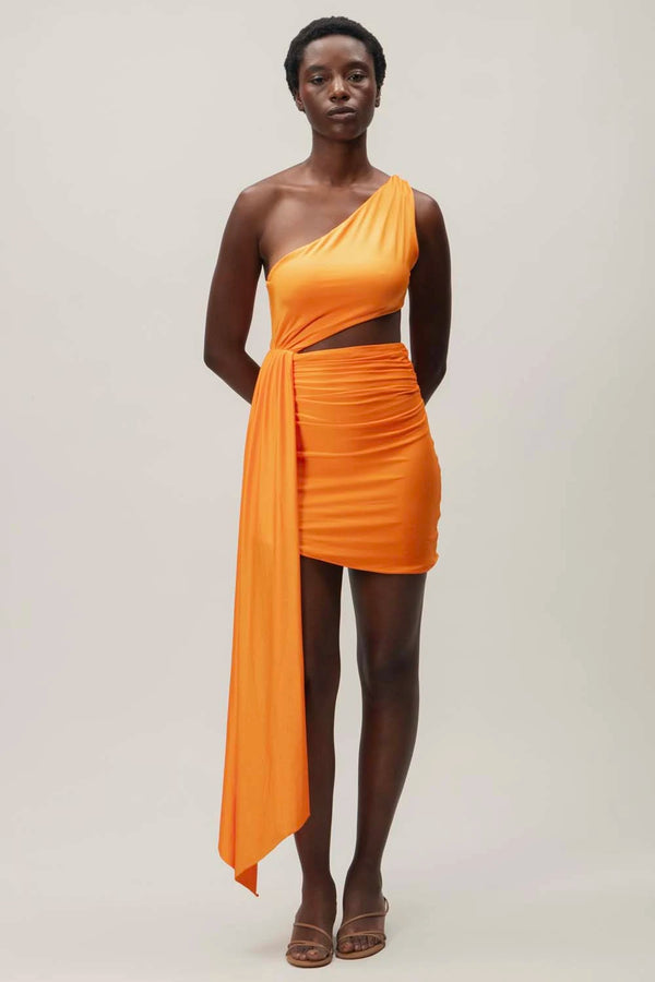 baobab Zadeh Mini Dress