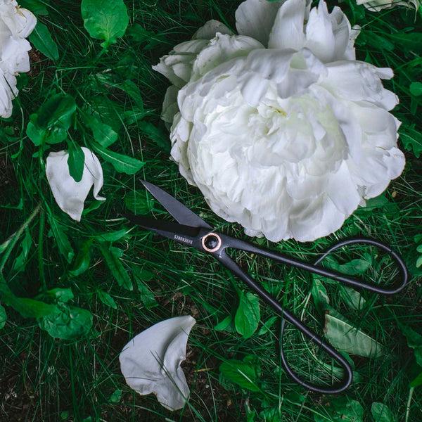 Barebones Artisan Pruning & Trimming Shears