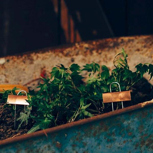 Barebones Copper Plant Markers