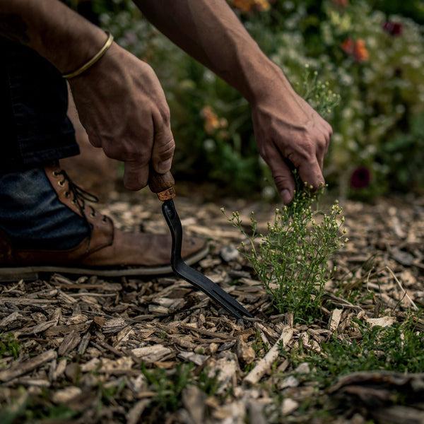 Barebones Dandelion Weeding Fork