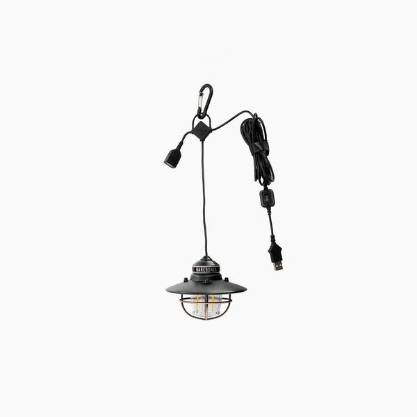 Barebones Edison Pendant Light
