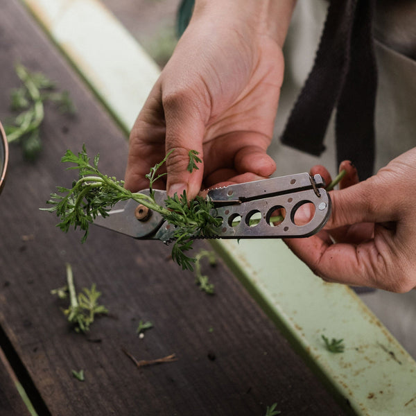 Barebones Foraging Bag Bundle