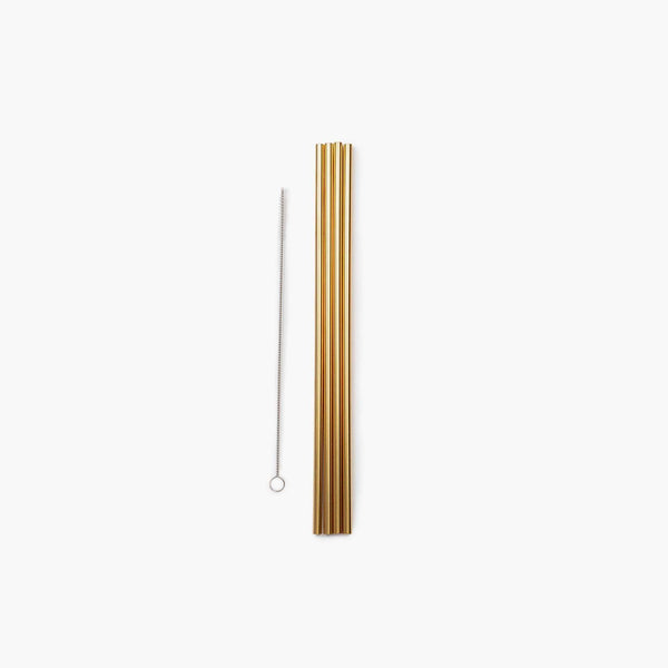 Barebones Porter Reusable Metal Straw Set