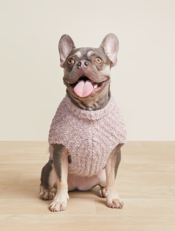 barefoot dreams CozyChic® Ribbed Pet Sweater