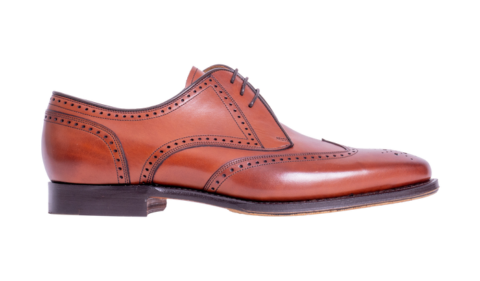 Barker Bakewell - Chestnut Calf