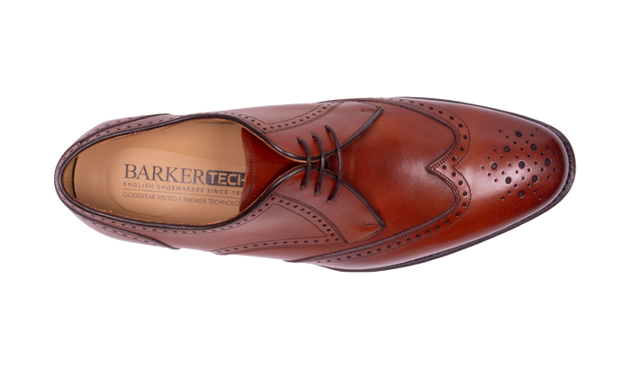 Barker Bakewell - Chestnut Calf