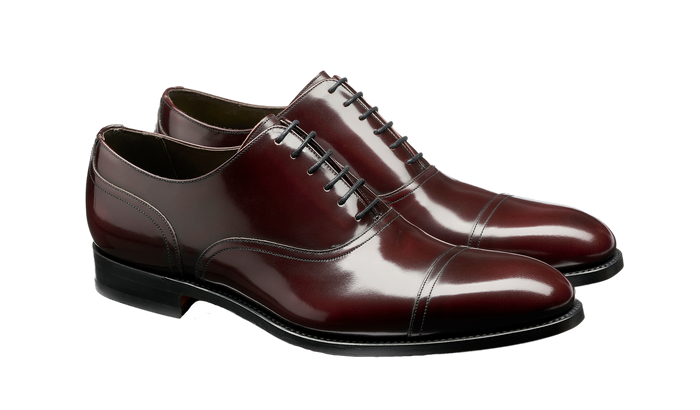 Barker Bates - Burgundy Hi Shine