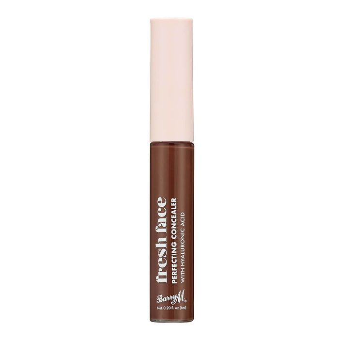 barry m Fresh Face Perfecting Concealer