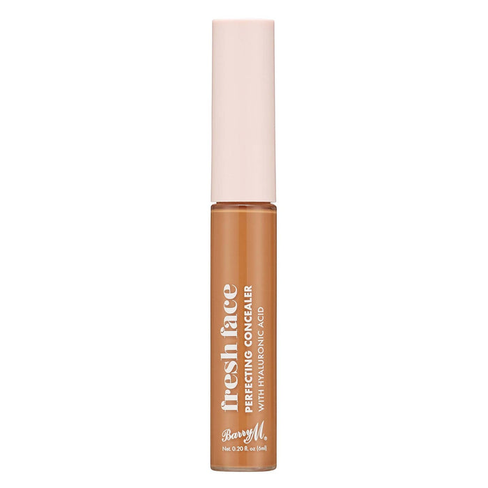 barry m Fresh Face Perfecting Concealer