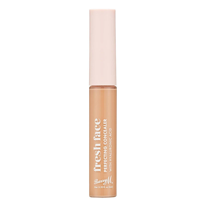 barry m Fresh Face Perfecting Concealer