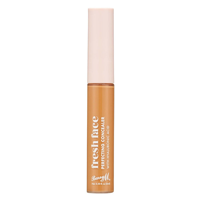 barry m Fresh Face Perfecting Concealer